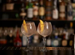 Onis Gin Tonic -lasi 58cl