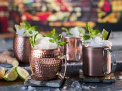 APS kuparoitu Moscow Mule muki
